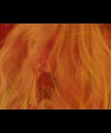 Kesha_-_Woman_28Official_Video29_ft__The_Dap-Kings_Horns-281080p29_164.jpg